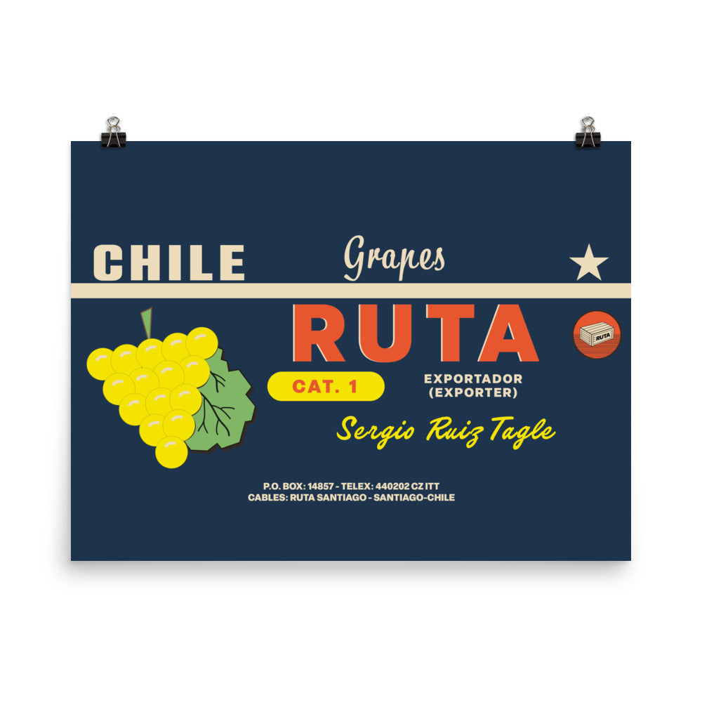18” x 24” Vintage Inspired, Digitally Illustrated Product Label Art, Ruta Grapes, Export from Santiago, Chile, Retro Poster