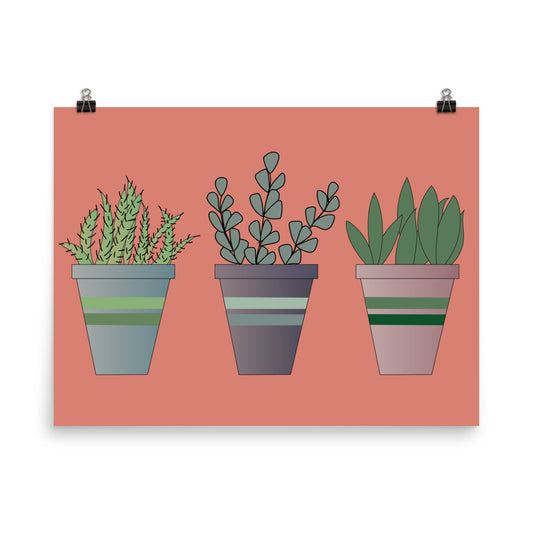 18”x24” Retro Poster, Potted Succulent Plants