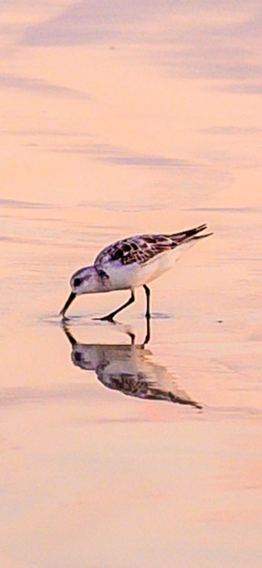Reflection
